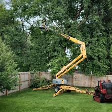 Best Lawn Maintenance Plans  in Millington, TN